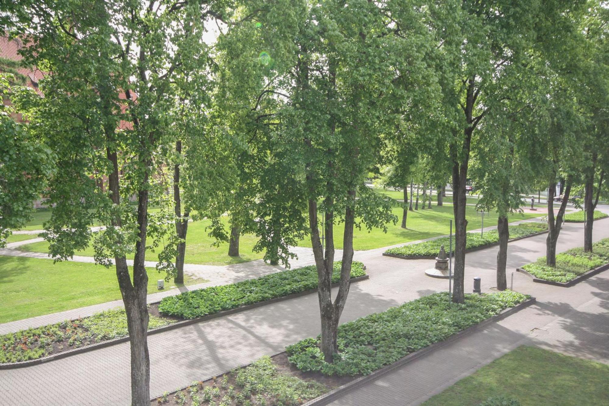 Apartamentai Vilniaus Alejoje Druskieniki Zewnętrze zdjęcie